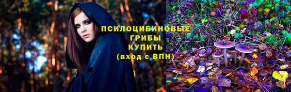 ГАЛЛЮЦИНОГЕННЫЕ ГРИБЫ Бугульма