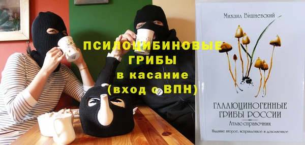 ГАЛЛЮЦИНОГЕННЫЕ ГРИБЫ Бугульма