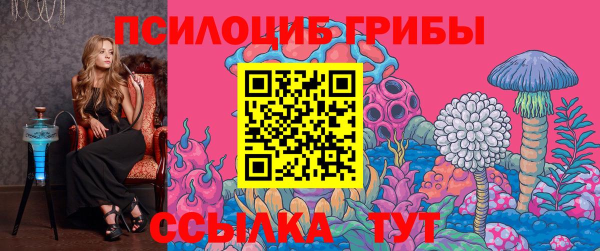 Галлюциногенные грибы мицелий  Темрюк  Галлюциногенные грибы прущие грибы 