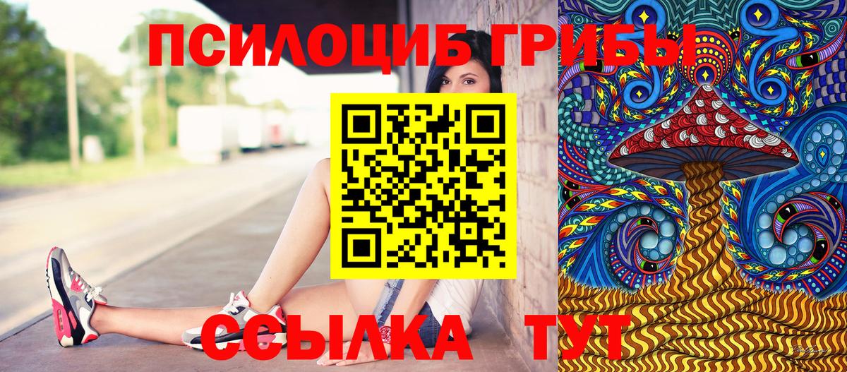 Темрюк  Псилоцибиновые грибы прущие грибы  Вход с VPN 