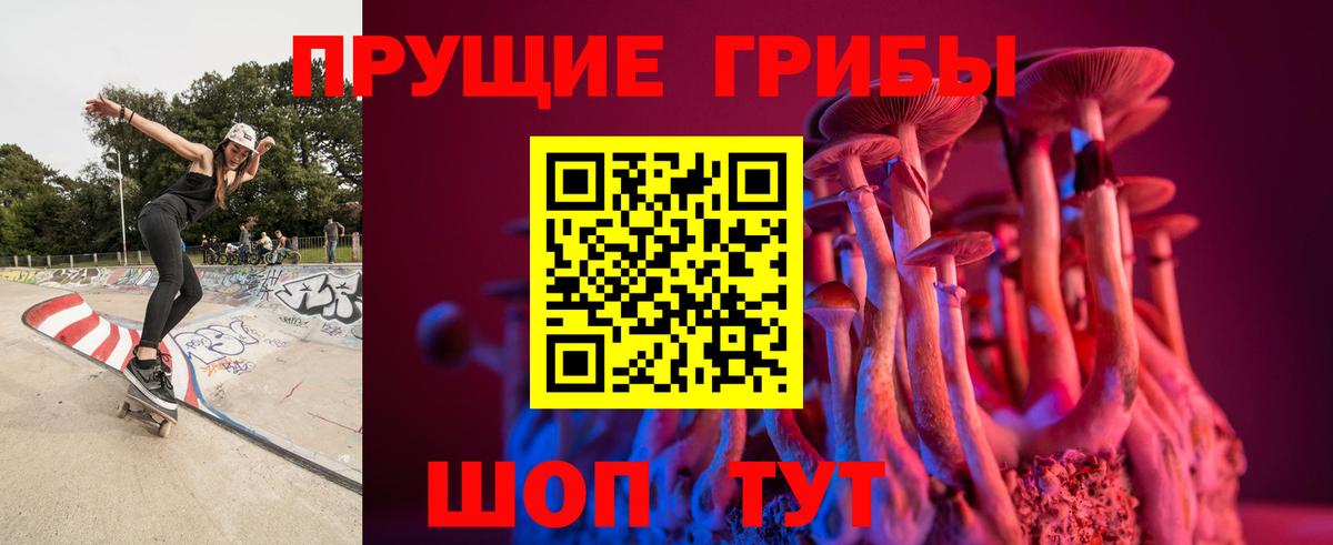 Псилоцибиновые грибы MAGIC MUSHROOMS Темрюк